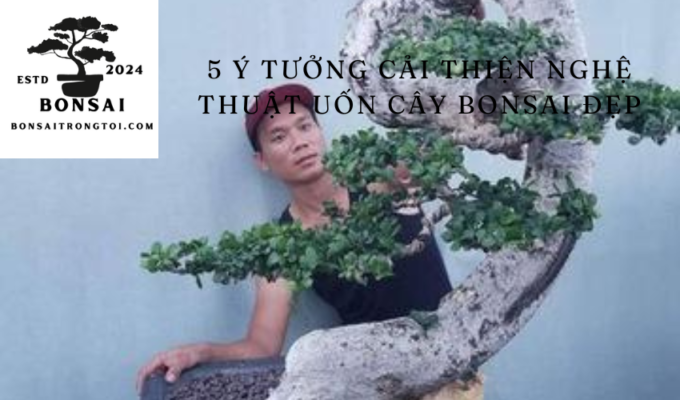 5 Ý tưởng cải thiện nghệ thuật uốn cây bonsai đẹp