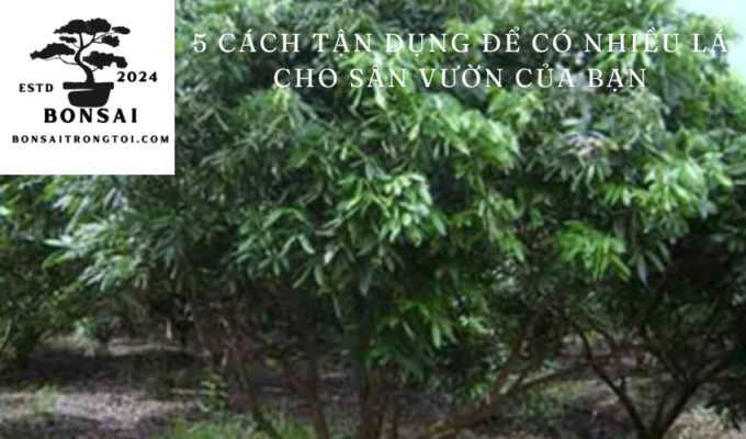 5 cách tận dụng để có nhiều lá cho sân vườn của bạn