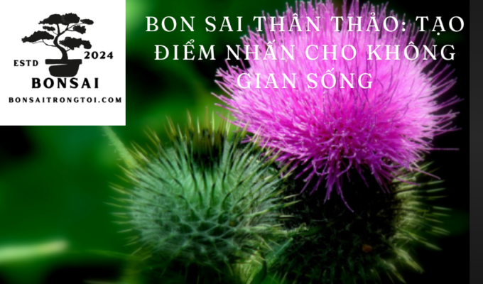 Bon sai Thân thảo: tạo điểm nhấn cho không gian sống