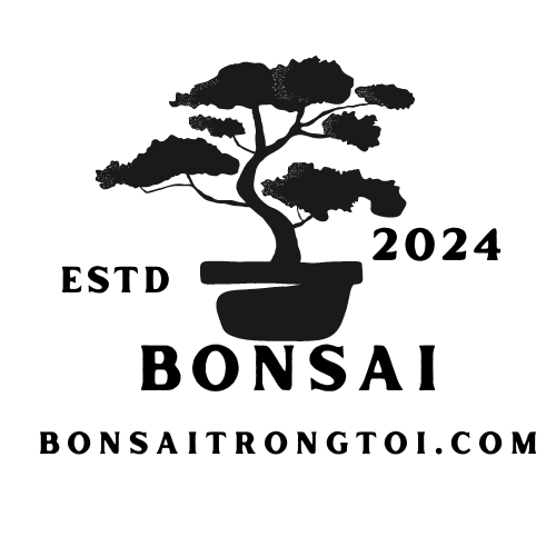 bonsaitrongtoi.com