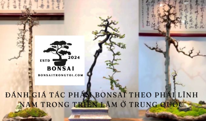 Đánh giá tác phẩm Bonsai theo phái Lĩnh Nam trong triển lãm ở Trung Quốc